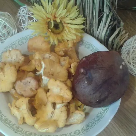 Biobergbauernhof Brandenau Taxenbach