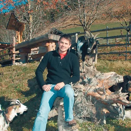 Biobergbauernhof Brandenau * Taxenbach