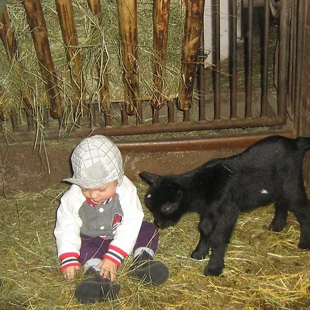 Biobergbauernhof Brandenau