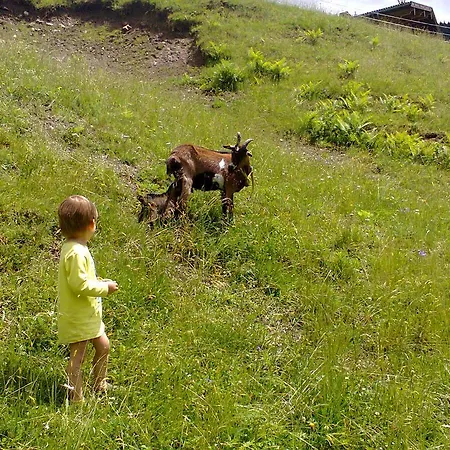 Apartment Biobergbauernhof Brandenau