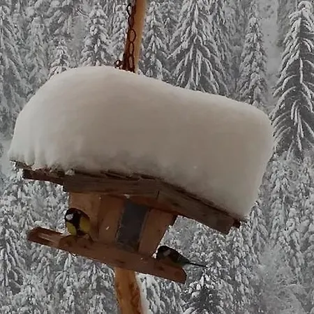 Biobergbauernhof Brandenau *