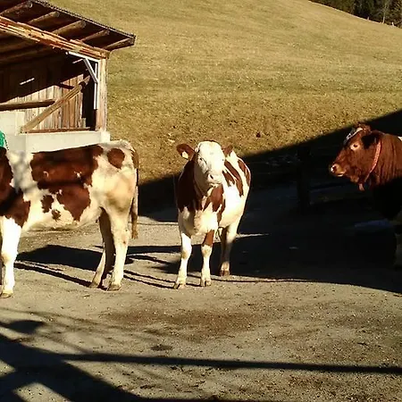 Apartment Biobergbauernhof Brandenau Taxenbach