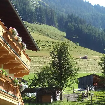 Biobergbauernhof Brandenau * Taxenbach