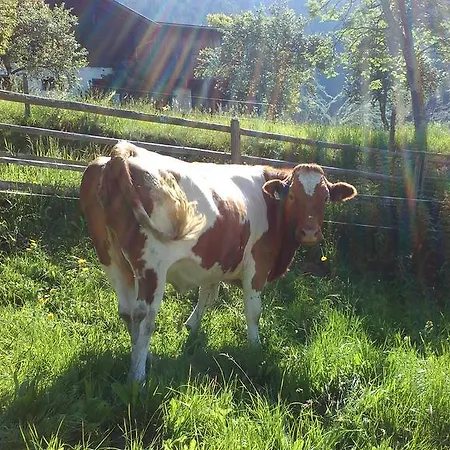 Apartment Biobergbauernhof Brandenau