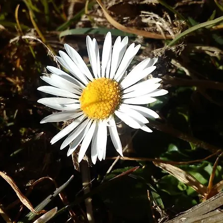 Biobergbauernhof Brandenau
