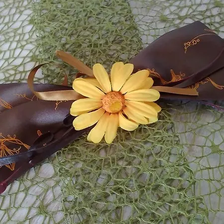 Biobergbauernhof Brandenau Apartment Taxenbach