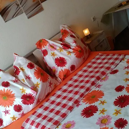 Biobergbauernhof Brandenau *