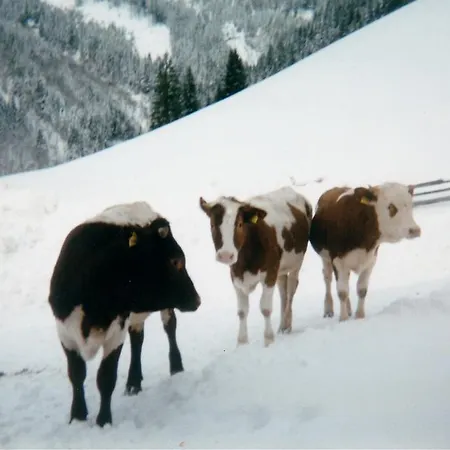 Apartment Biobergbauernhof Brandenau