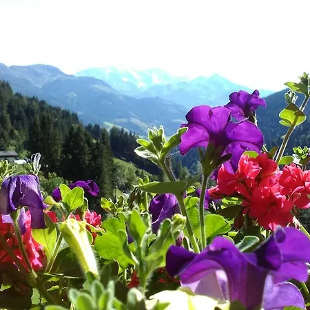 Biobergbauernhof Brandenau * Taxenbach