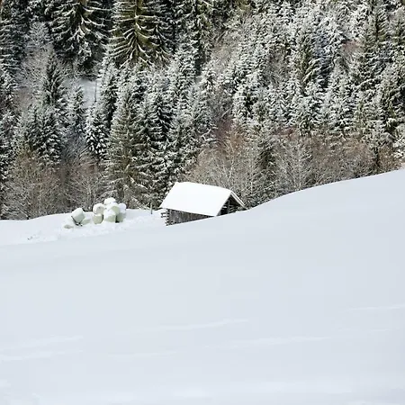 Biobergbauernhof Brandenau Apartman *