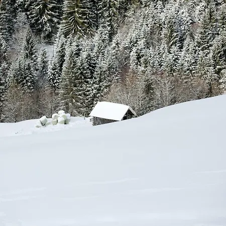 Biobergbauernhof Brandenau Apartment *