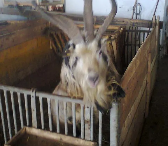 Apartman Biobergbauernhof Brandenau Taxenbach