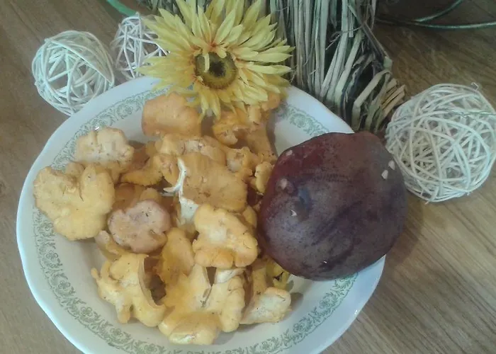 Biobergbauernhof Brandenau Taxenbach