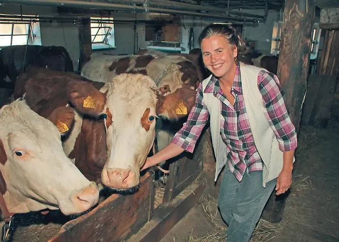 Biobergbauernhof Brandenau Appartement Taxenbach