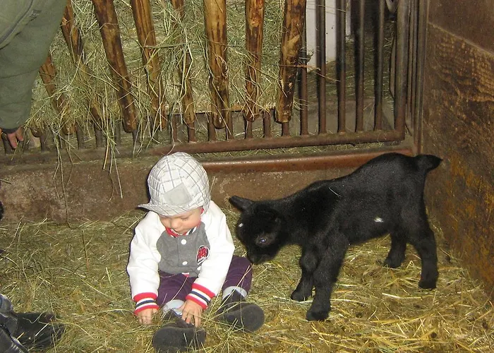 Biobergbauernhof Brandenau