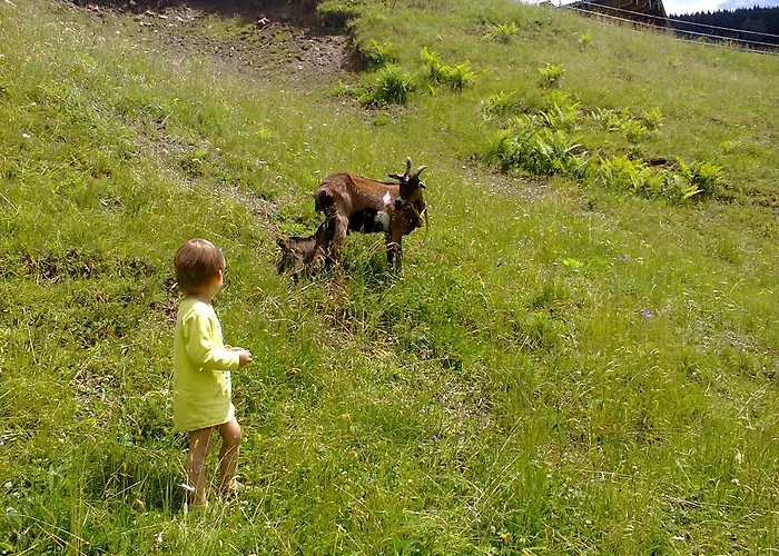 Appartement Biobergbauernhof Brandenau