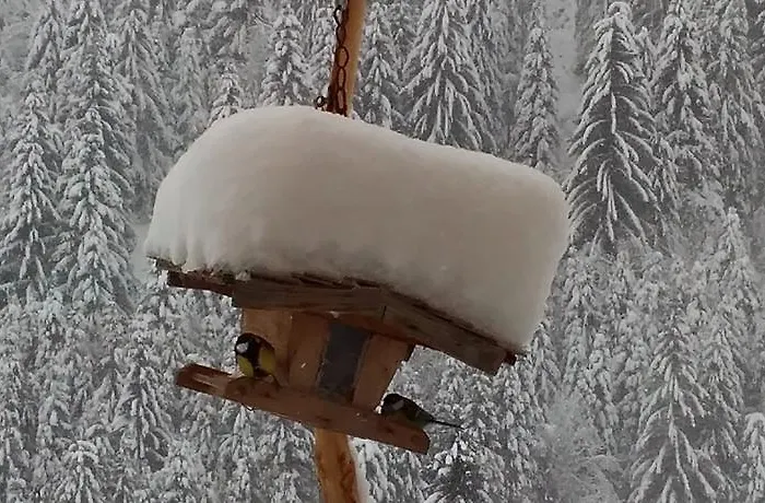 Biobergbauernhof Brandenau *