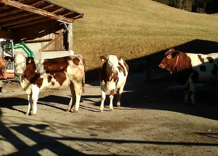 Apartman Biobergbauernhof Brandenau Taxenbach