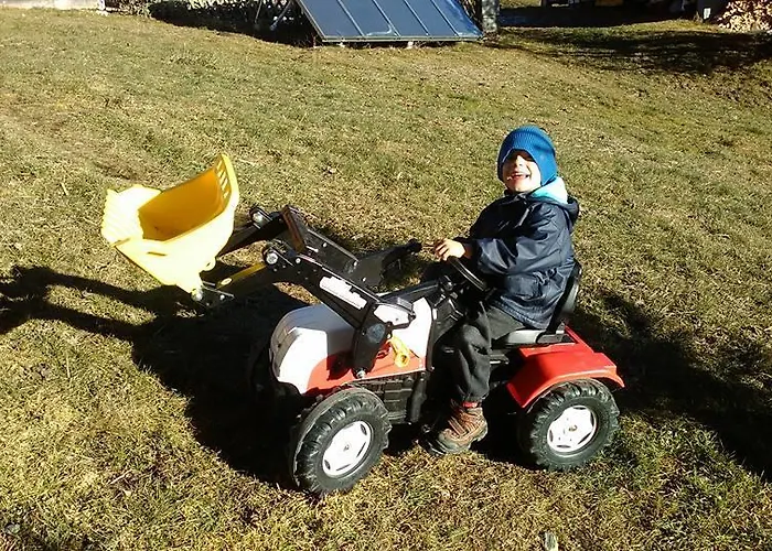 Biobergbauernhof Brandenau Appartement