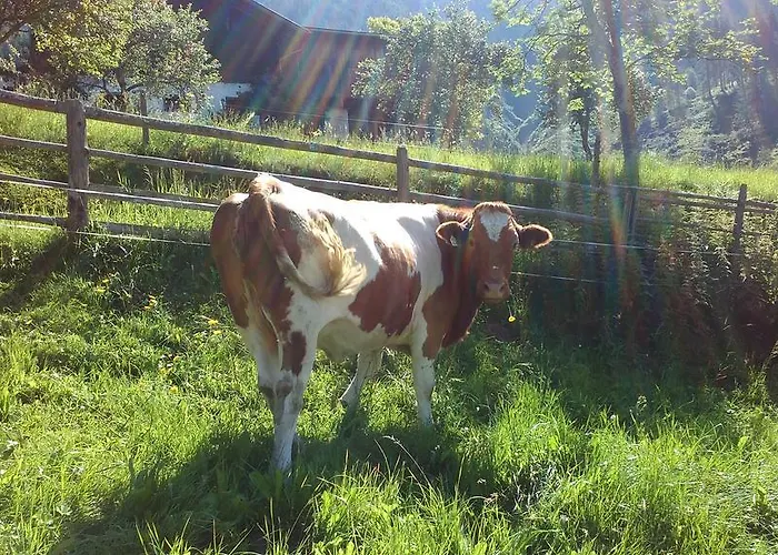 Apartman Biobergbauernhof Brandenau