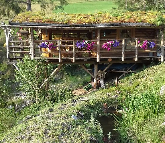 Biobergbauernhof Brandenau