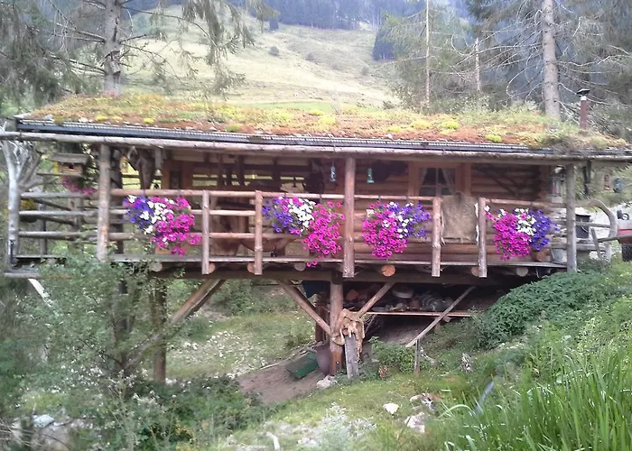 Biobergbauernhof Brandenau Appartement *