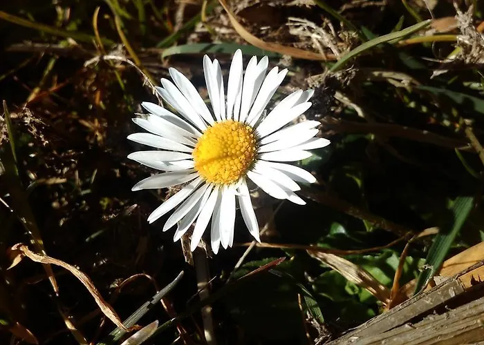 Biobergbauernhof Brandenau