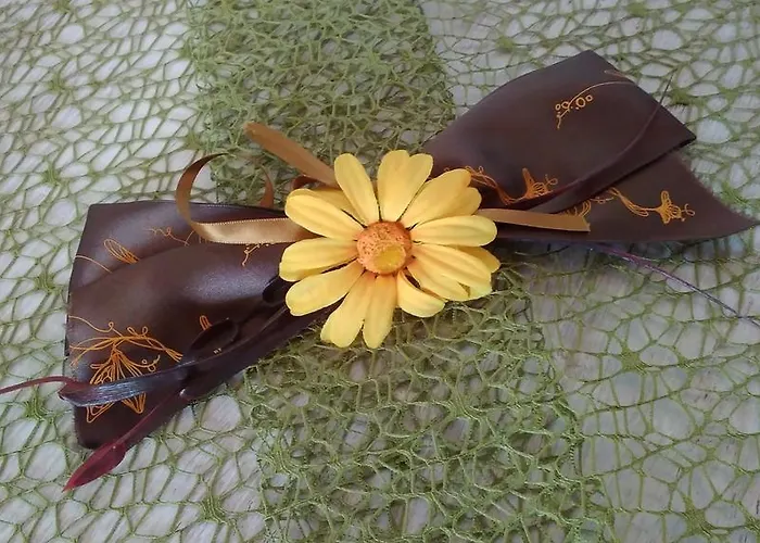 Biobergbauernhof Brandenau Appartement Taxenbach