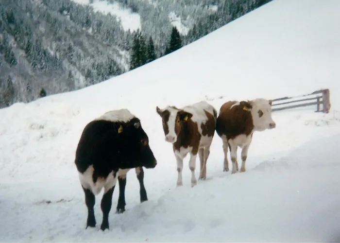 Appartement Biobergbauernhof Brandenau