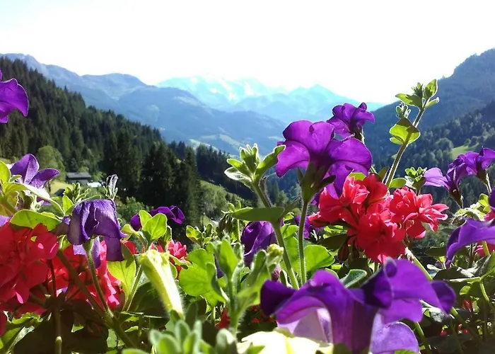 Biobergbauernhof Brandenau * Taxenbach