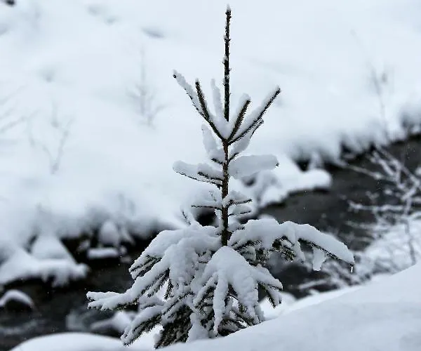 Biobergbauernhof Brandenau Apartman *