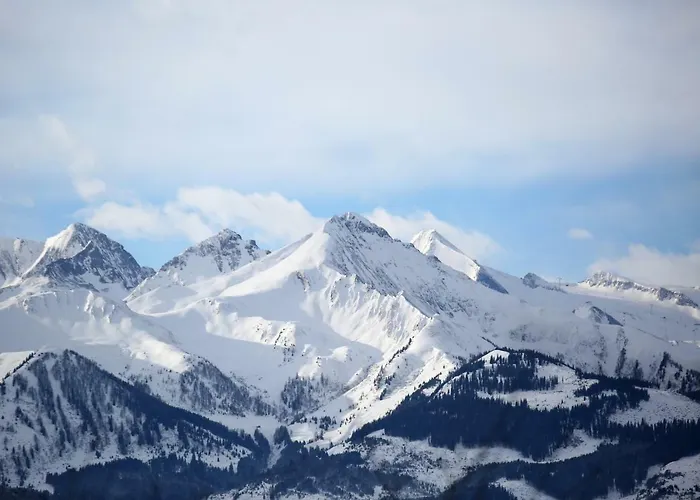 Biobergbauernhof Brandenau
