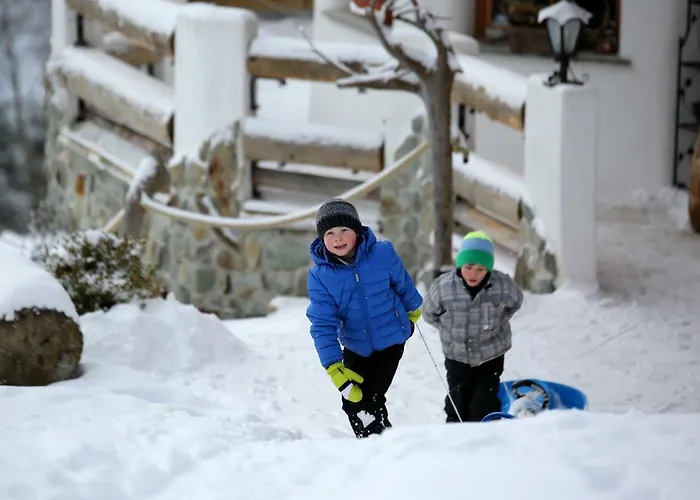 Biobergbauernhof Brandenau * Taxenbach
