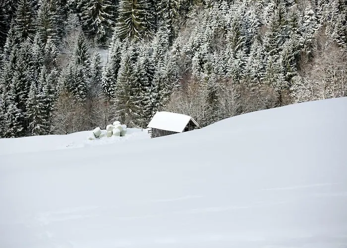Biobergbauernhof Brandenau Appartement *
