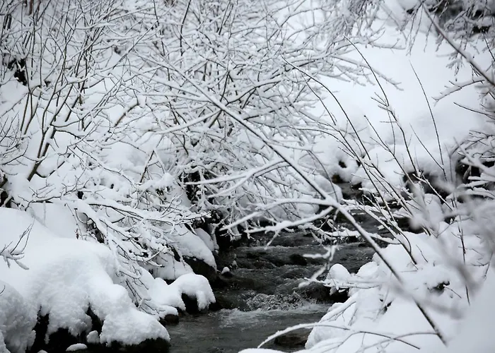 Apartman Biobergbauernhof Brandenau Taxenbach